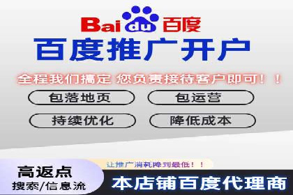 短视频平台的SEM推广实践与效果